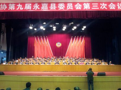 泵阀院院长杨国来参加县政协第九届永嘉县委员会第三次会议