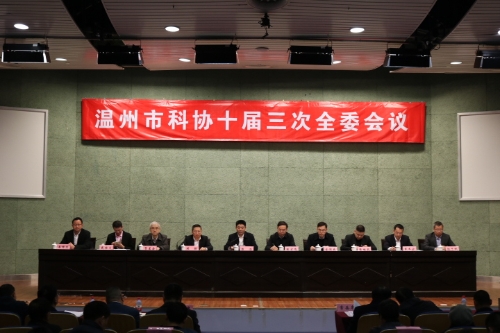 用足用好人才优势 做大做强科协格局——温州市科协十届三次全委会议胜利召开