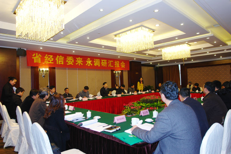 省经信委领导来永嘉开展调研