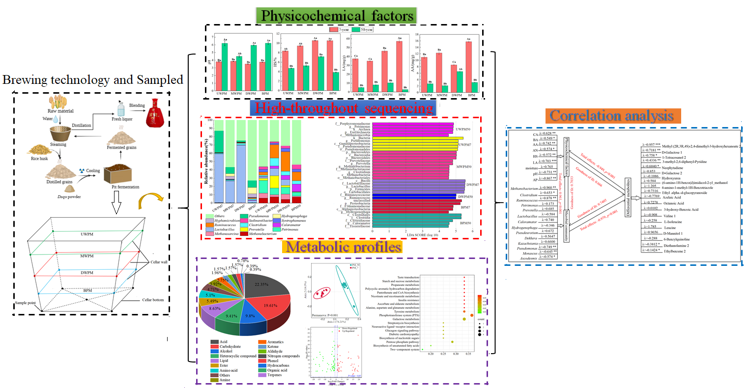 兰州理工大学在浓香型白酒窖泥微生物组装研究方面取得新进展
